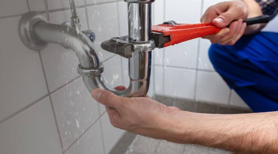 Professional Leak Detection services in River Falls, AL